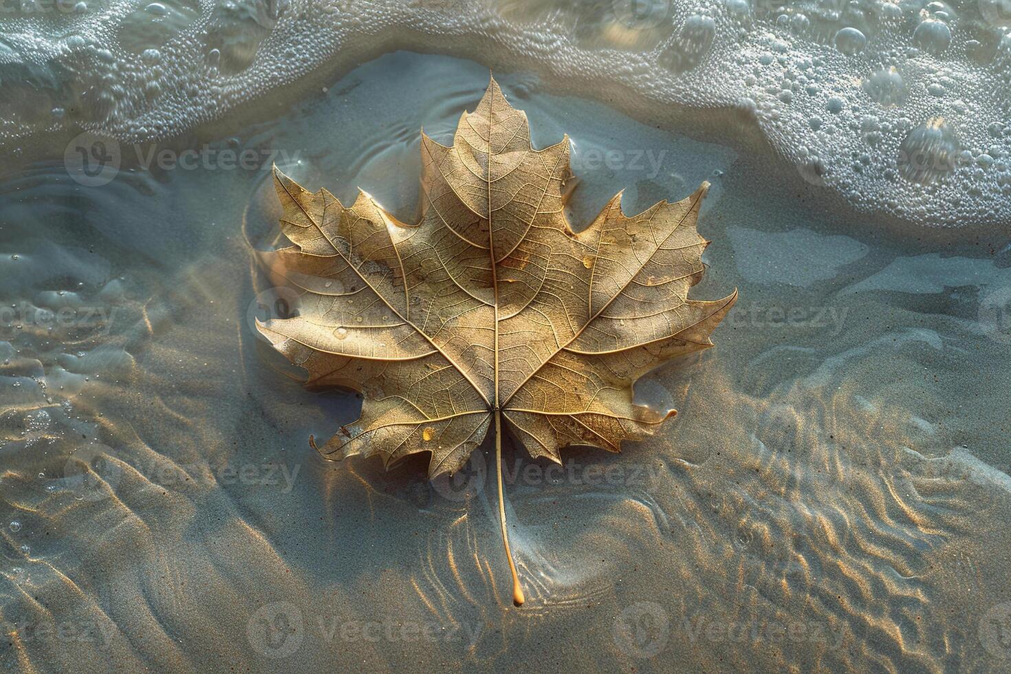 Yellow maple leaf on wet sand at the beach. Generated by artificial intelligence photo