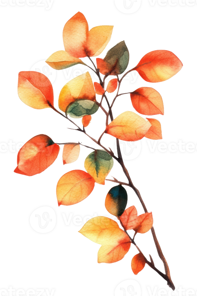 Autumn leaves in vibrant watercolor illustration, cut out - stock . png