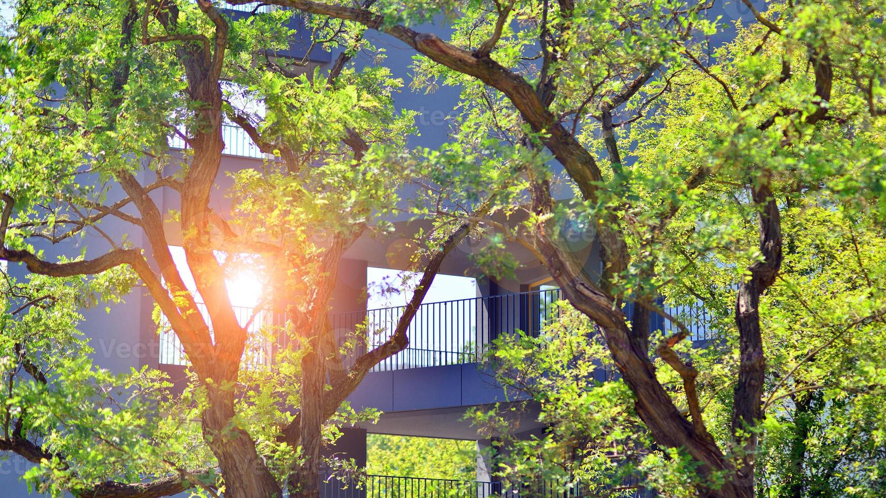 New modern block of flats in green area. Eco apartment building saving energy and fresh air concept. Green tree and new apartment building. The harmony of nature and modernity. photo