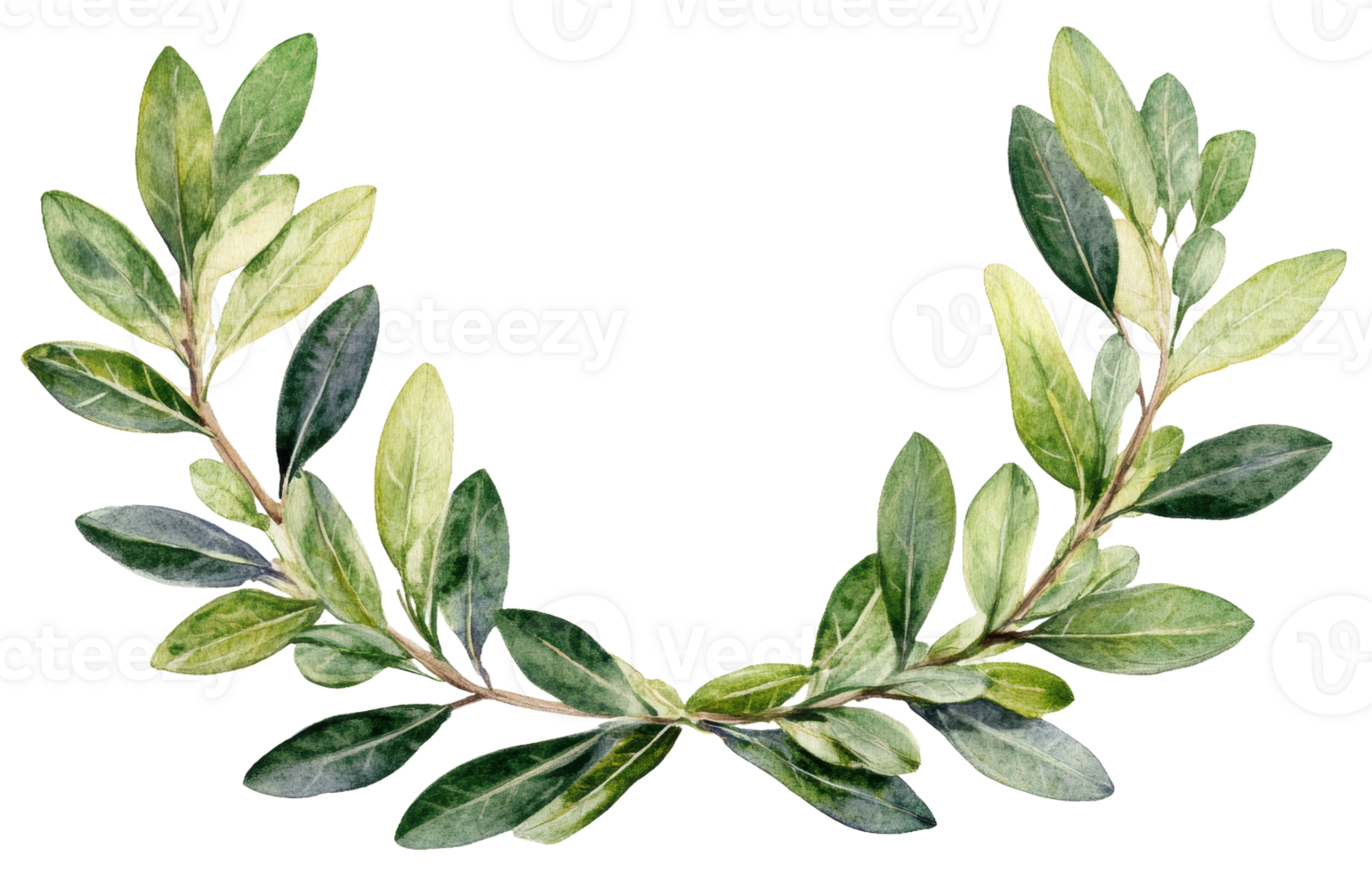 Green laurel wreath design with various leaves, cut out - stock . png