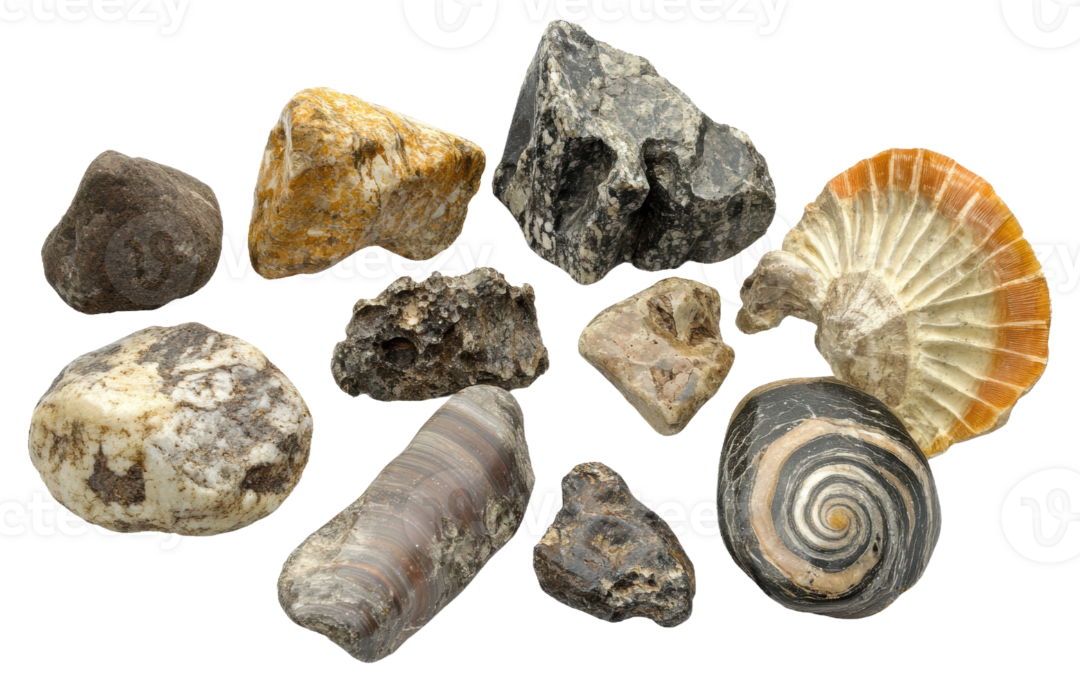 Fossils and minerals collected from diverse geological locations, cut out - stock . png
