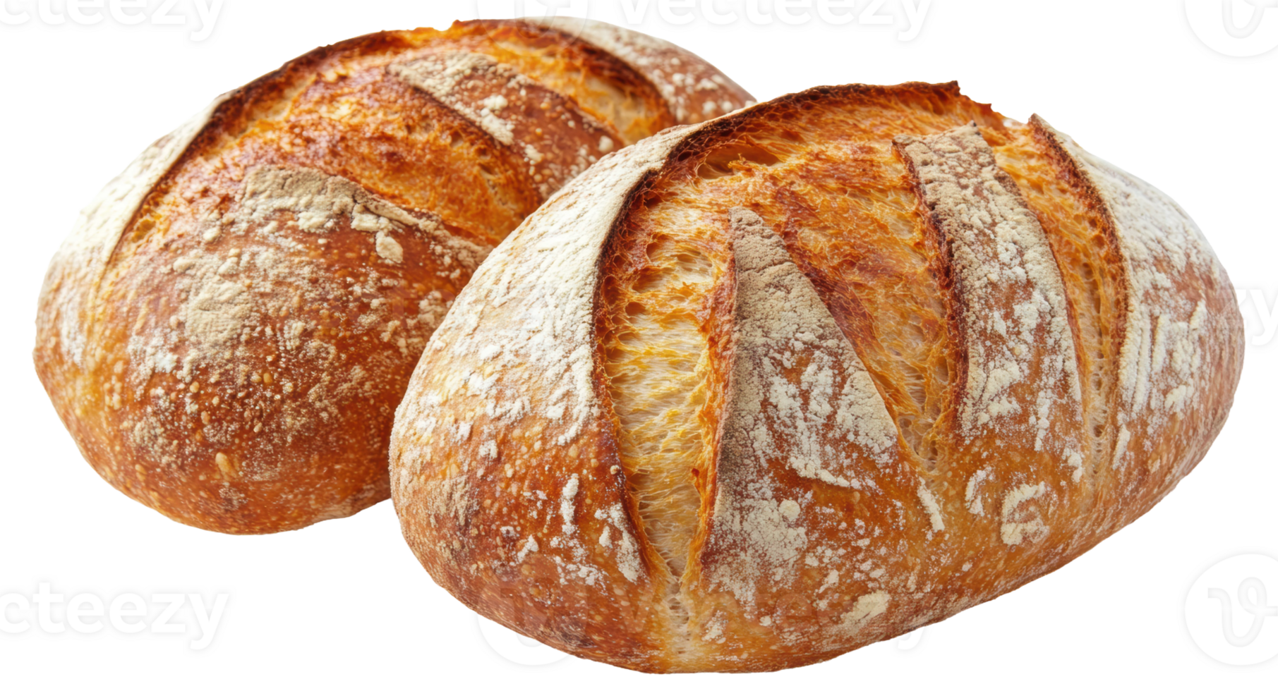 Freshly baked sourdough loaves, cut out - stock . png