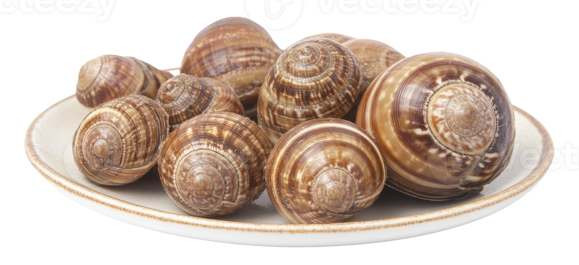 Freshly harvested escargot displayed on a white plate, ready for culinary preparation in a kitchen setting, cut out - stock . png