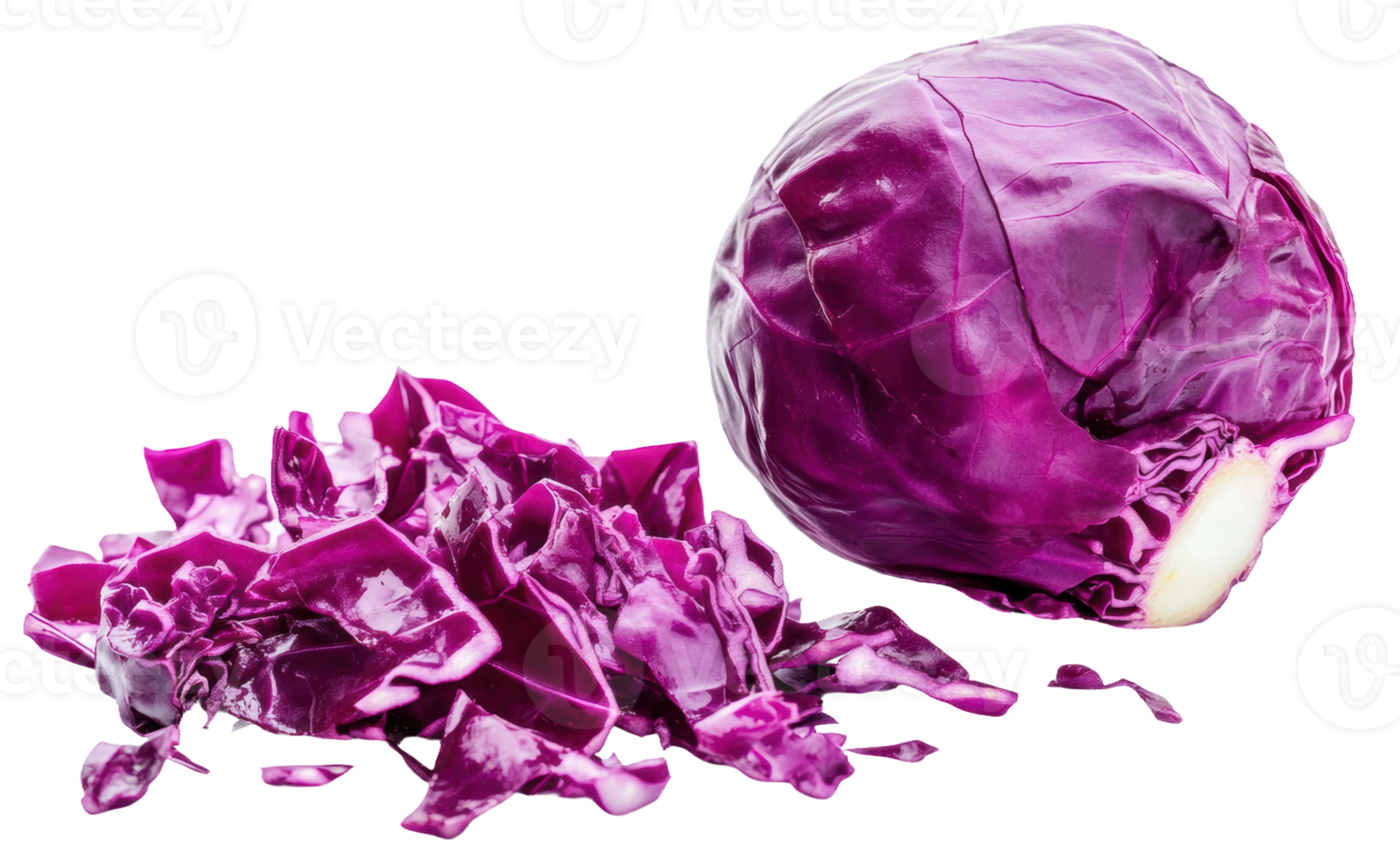 Purple cabbage and leaves, cut out - stock . png