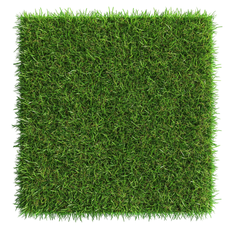 Green Grass in a Rectangular Frame AI-Generative png