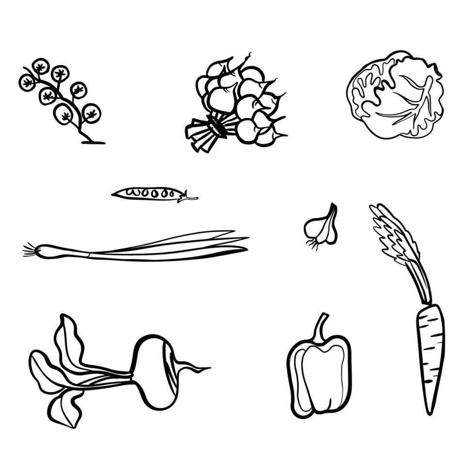 Black line contour sketch vegetables vector