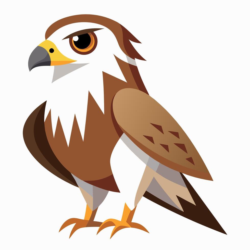 Ferruginous Hawk bird looks kawaii vector