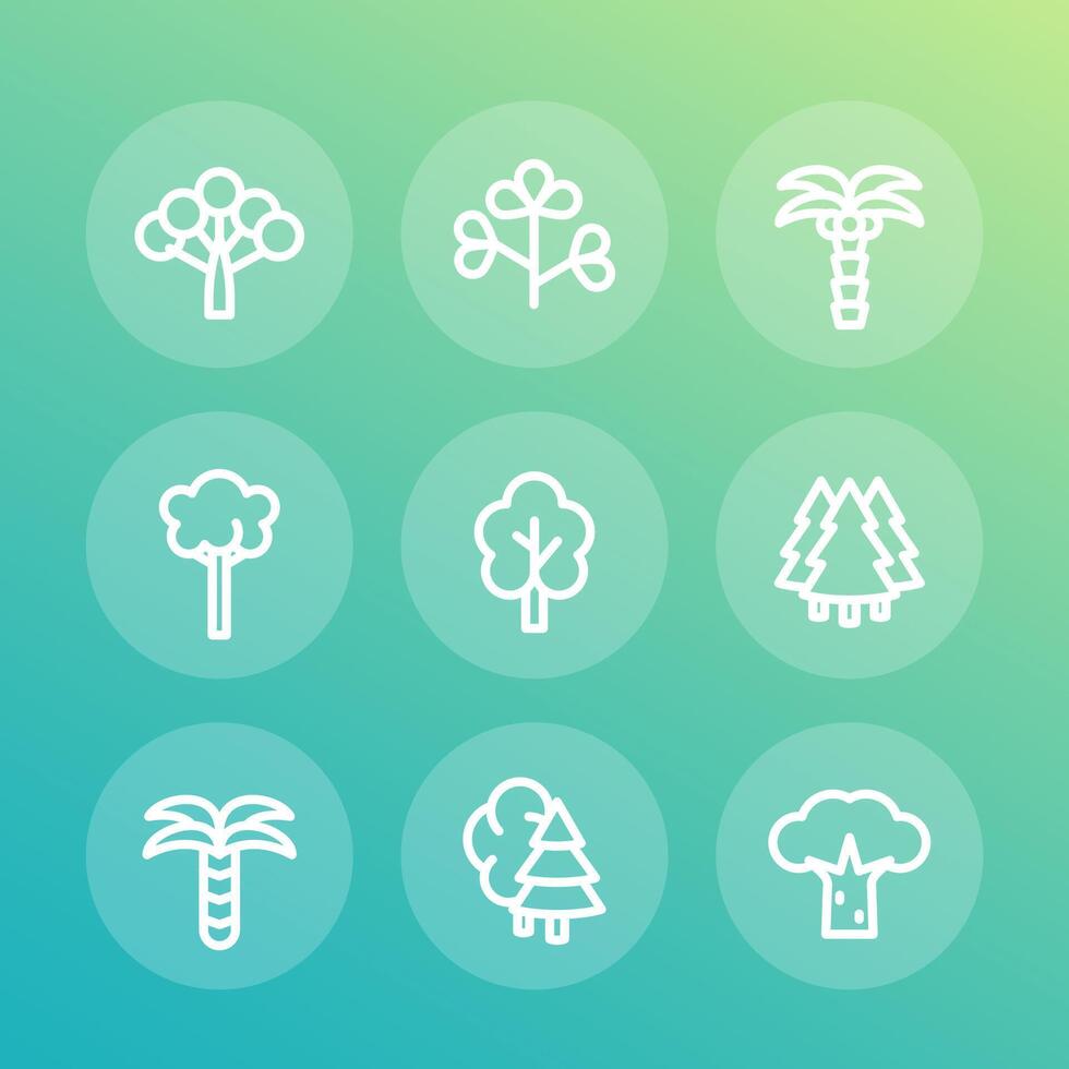 Trees line icons set, palm, fir, baobab, eucalyptus vector