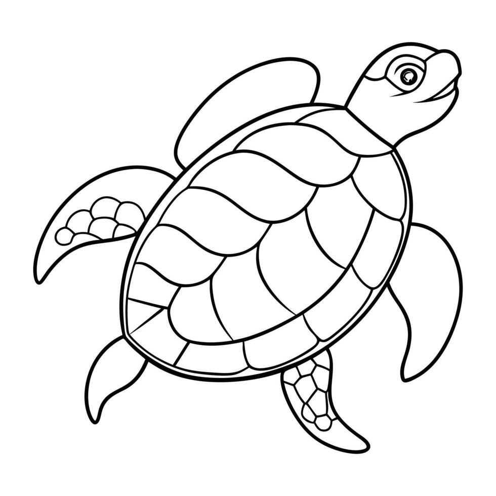 turtel illustration art vector