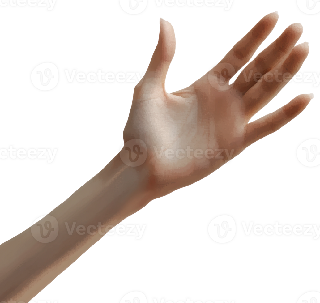 A raised hand reaching out for connection in neutral lighting, cut out - stock . png