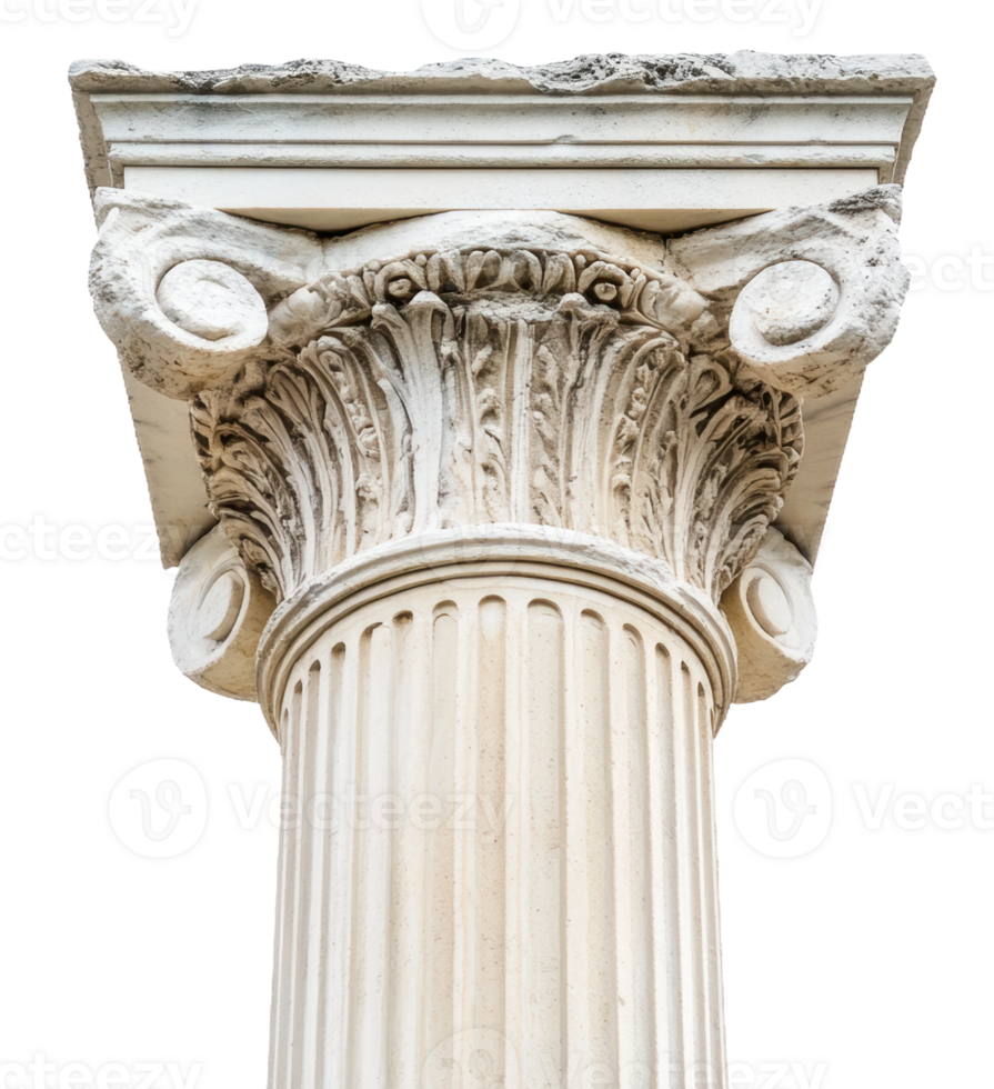 Detail view of a classical Corinthian column showcasing ornate capital and fluted shaft, cut out - stock . png
