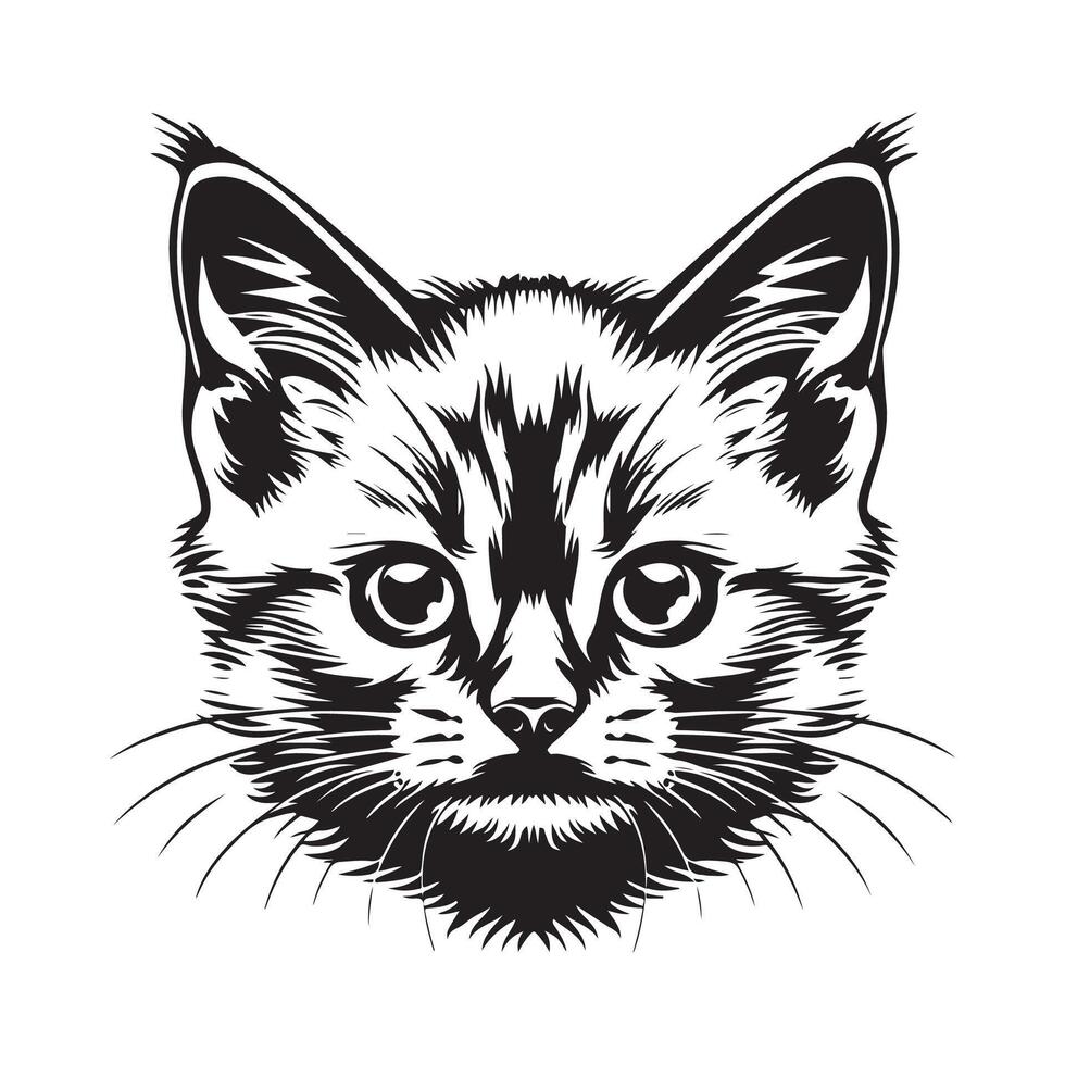 Cat Face Design Images. Cute cat face Stock Images isolated on white background vector