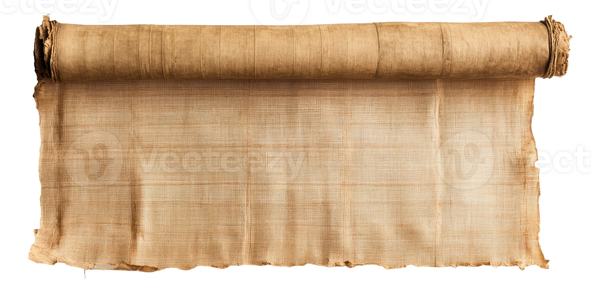 Ancient scroll made of papyrus found in an archaeological site, unrolled and partially displaying text from ancient civilization, cut out - stock . png