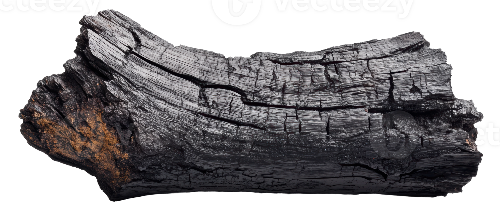 Textured charred log, cut out - stock . png