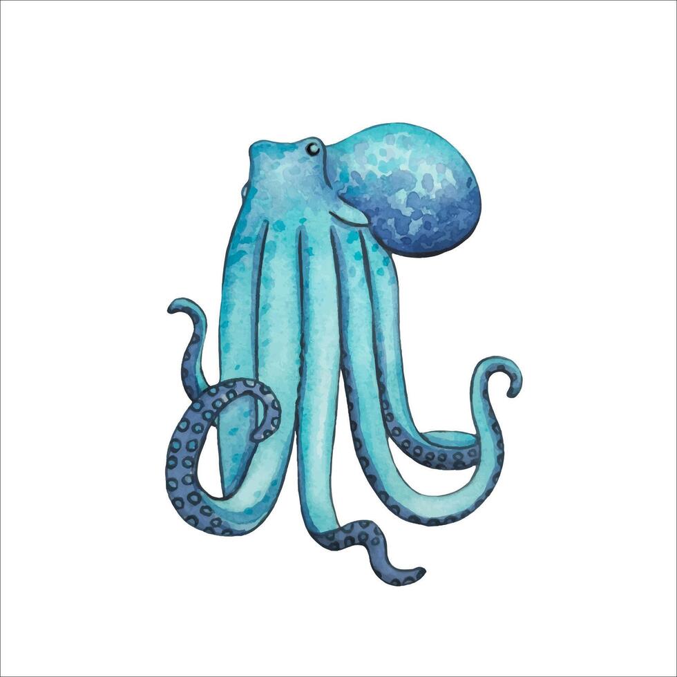 Hand drawn blue octopus, watercolor illustration vector