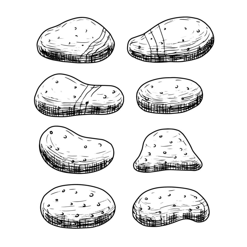 Hand drawn sea stones, pebbles. illustration isolated on white background. vector