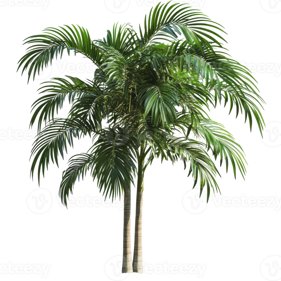 Green palm trees in bright daylight setting png