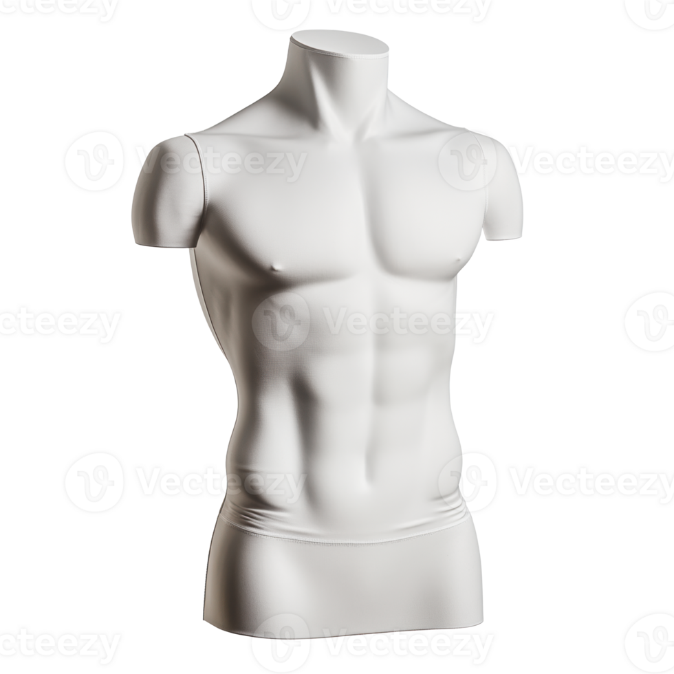 Mannequin torso display for clothing showcase png