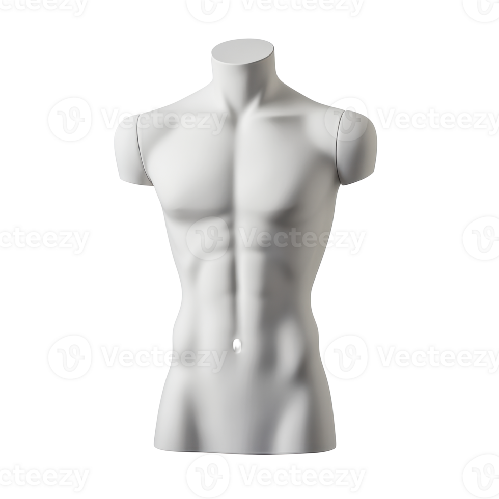Mannequin torso displayed on a plain background png