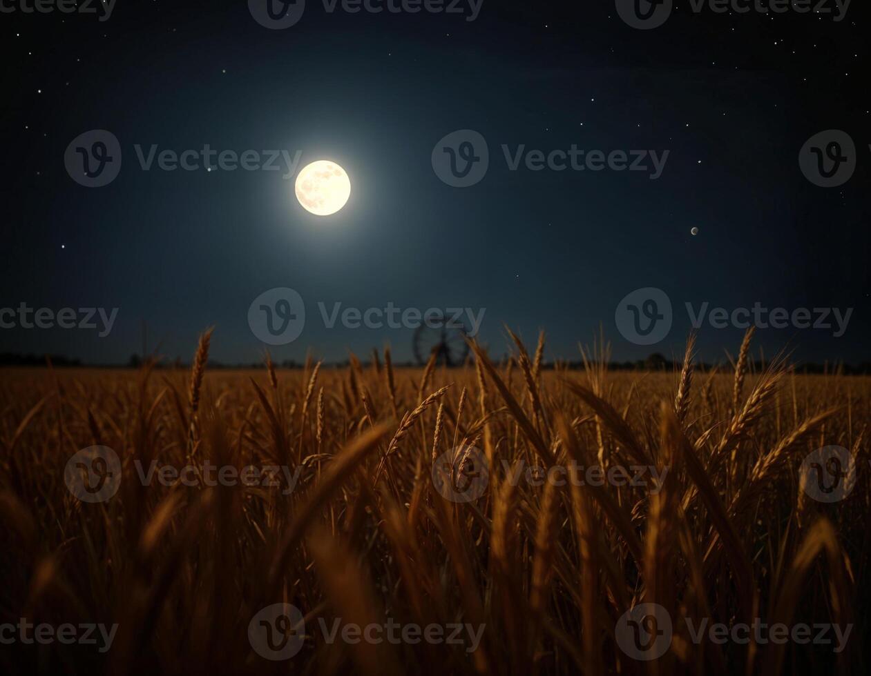 a full moon is shining on the starry night sky over a wheat field on sharad purnima event photo