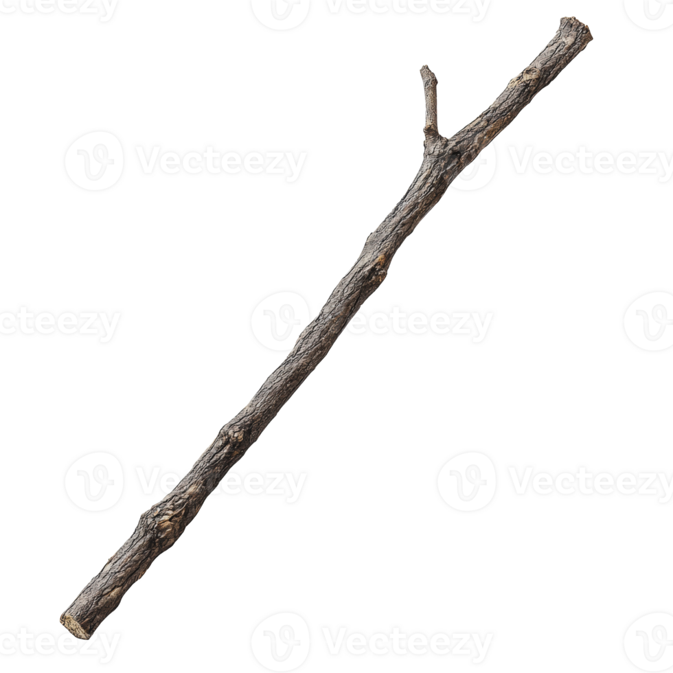 Natural stick found in a forest during autumn png