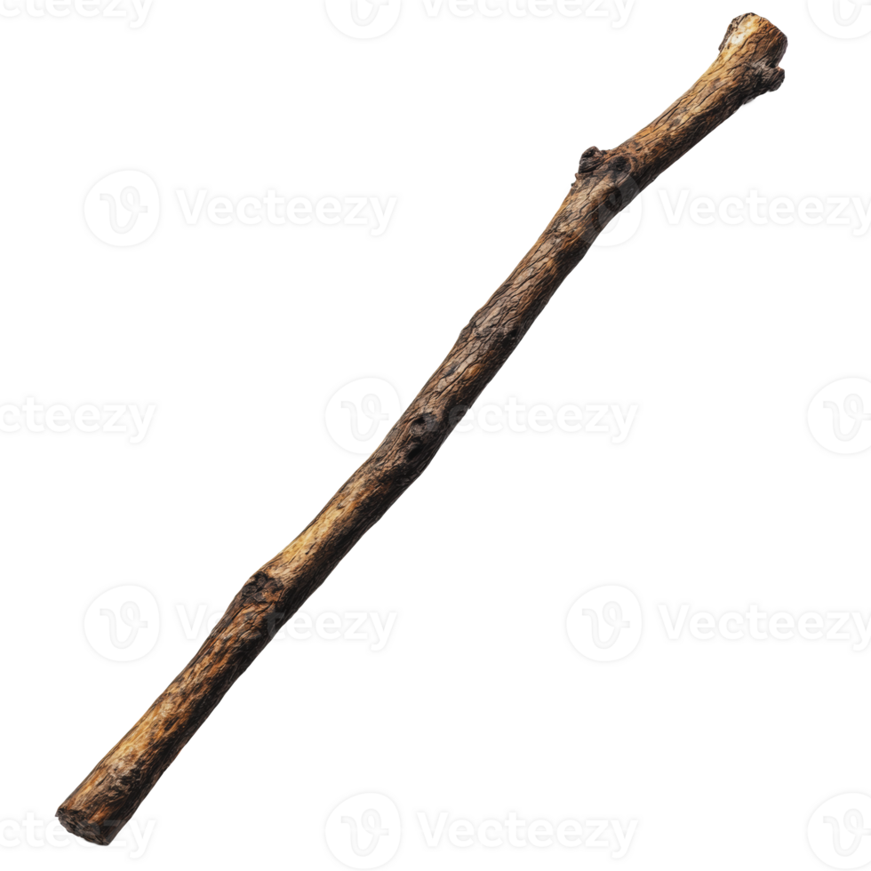 Natural stick lying on the ground in a forest png
