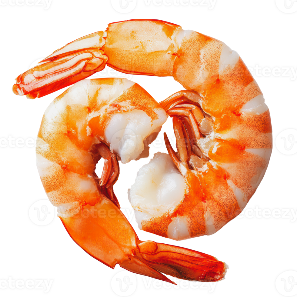 Large cooked shrimp arranged in a heart shape png