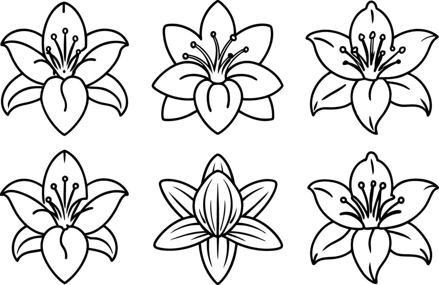 Lily flower icon set. editable stroke outline icons set. vector