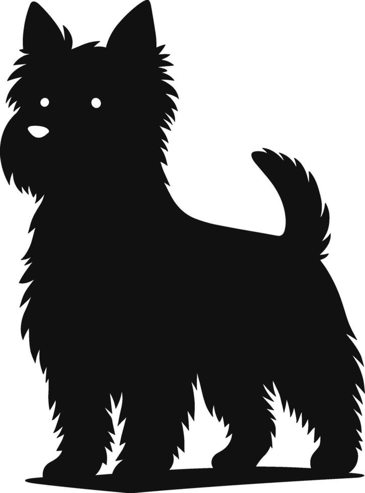 Cairn Terrier Dog vector