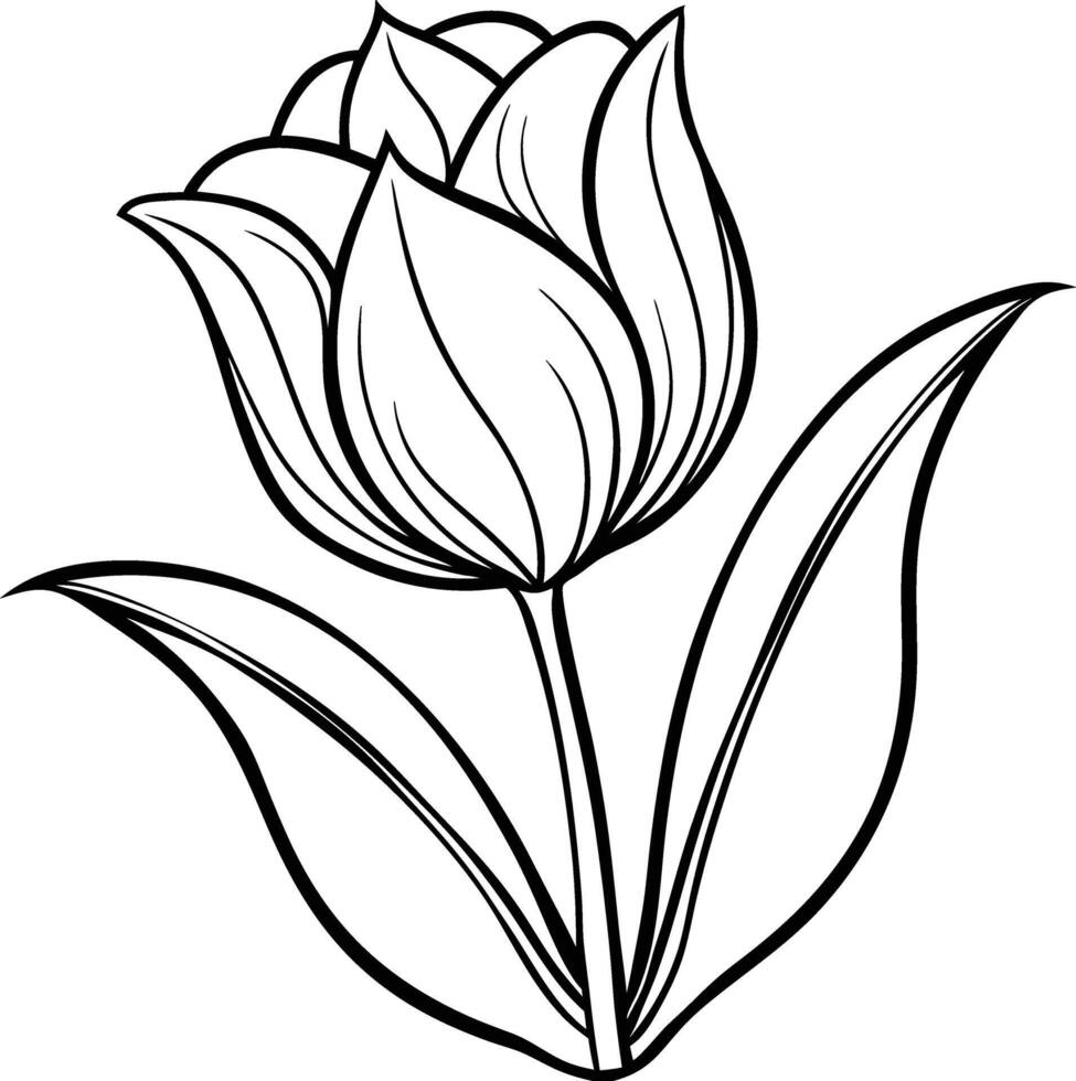 Simple Floral Outline Graphic vector