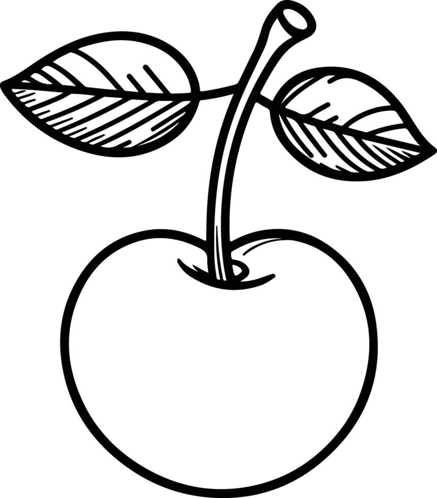Delicious Cherry Outline Graphic vector