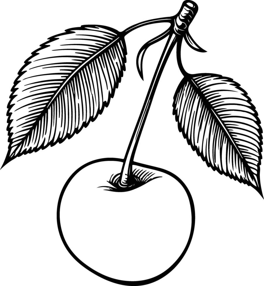 Sleek Cherry Fruit Contour Design vector