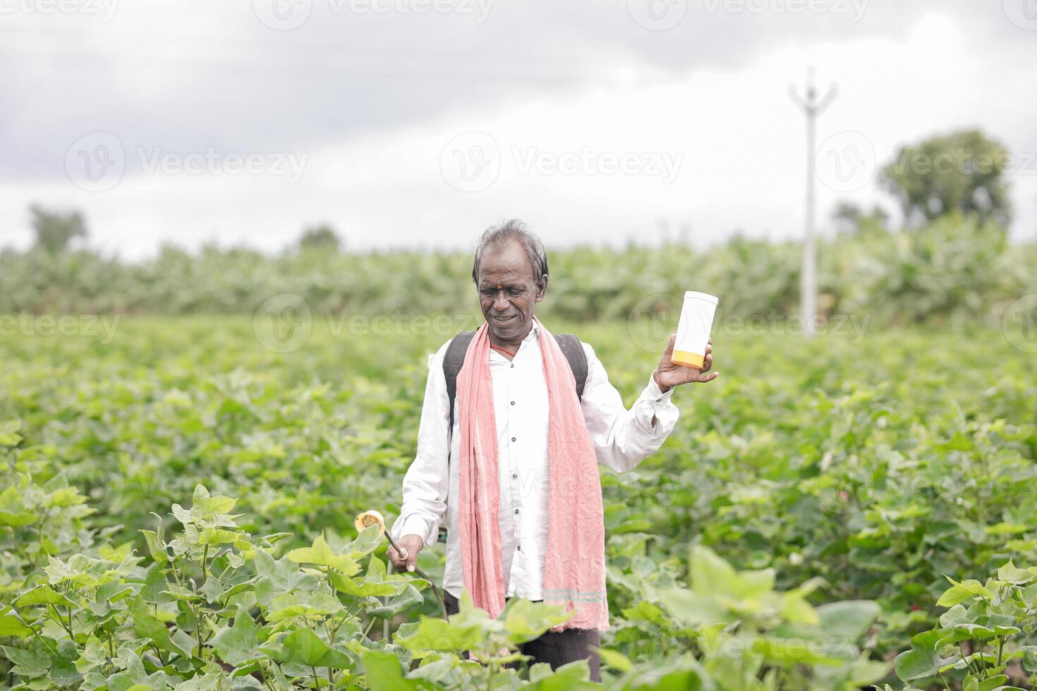 Indian farmer working on farm field, spraying fertilizer on soil and plants. photo