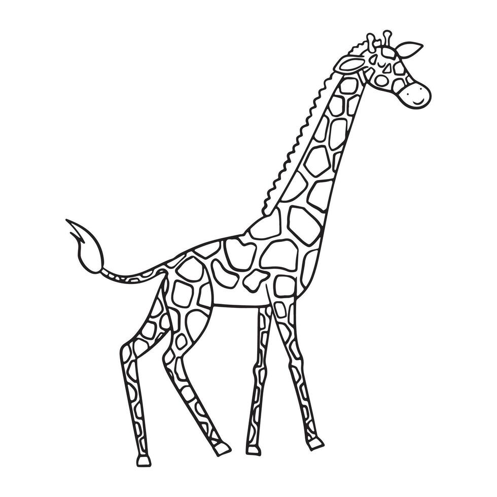 A tall giraffe is depicted in this black and white outline illustration, perfect for educational uses or children's coloring books. Simple detailed design highlights the giraffe's unique spots, neck vector