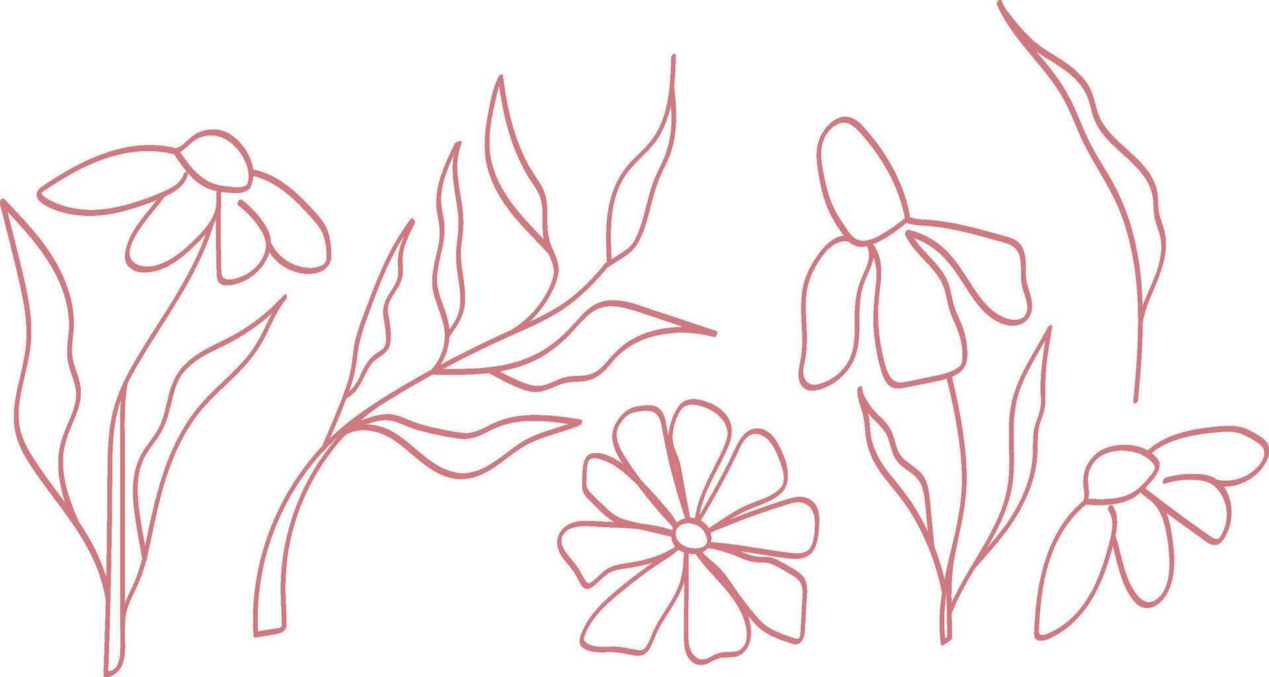 Set of minimalistic flowers, hand drawn, neat elements for decoration vector