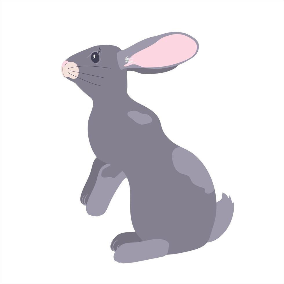 An attractive grey rabbit highlighted on a white background. Easter bunny. vector