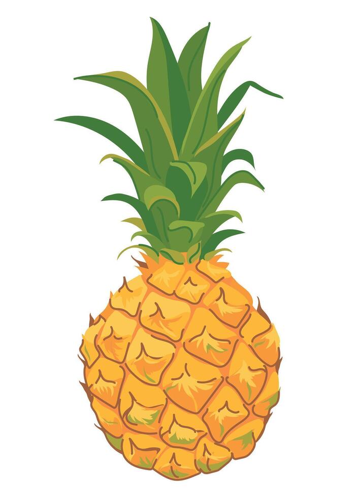 Small pineapple common in Mauritius. Mini fruit in flat style. ripe juicy pineapple on white background. vector