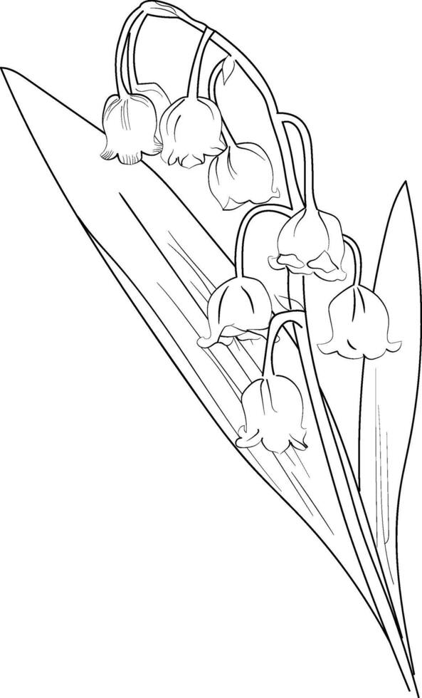 Isolated simple minimal one lily of the valley branch twig with glowers and leaves colorless black and white contour line easy drawing coloring pages for kids, lily of the valley coloring page Pro vector