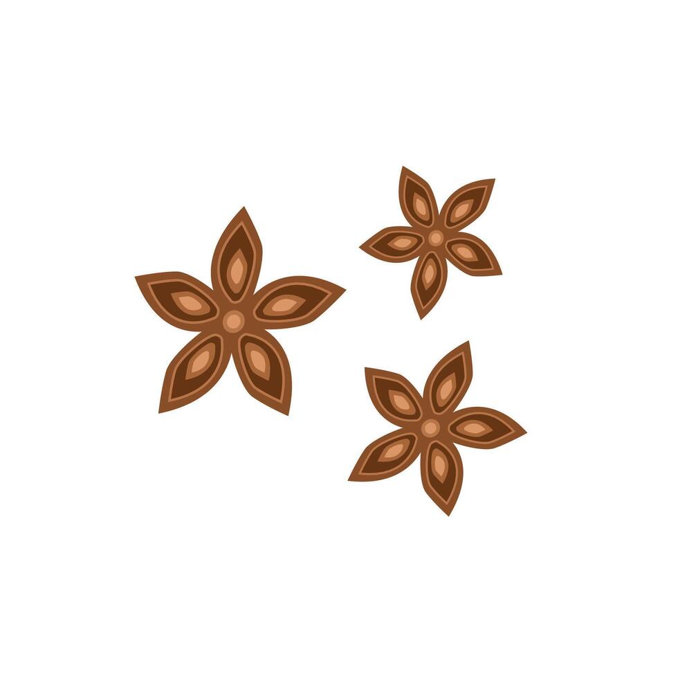 Clove spice Illustration vector