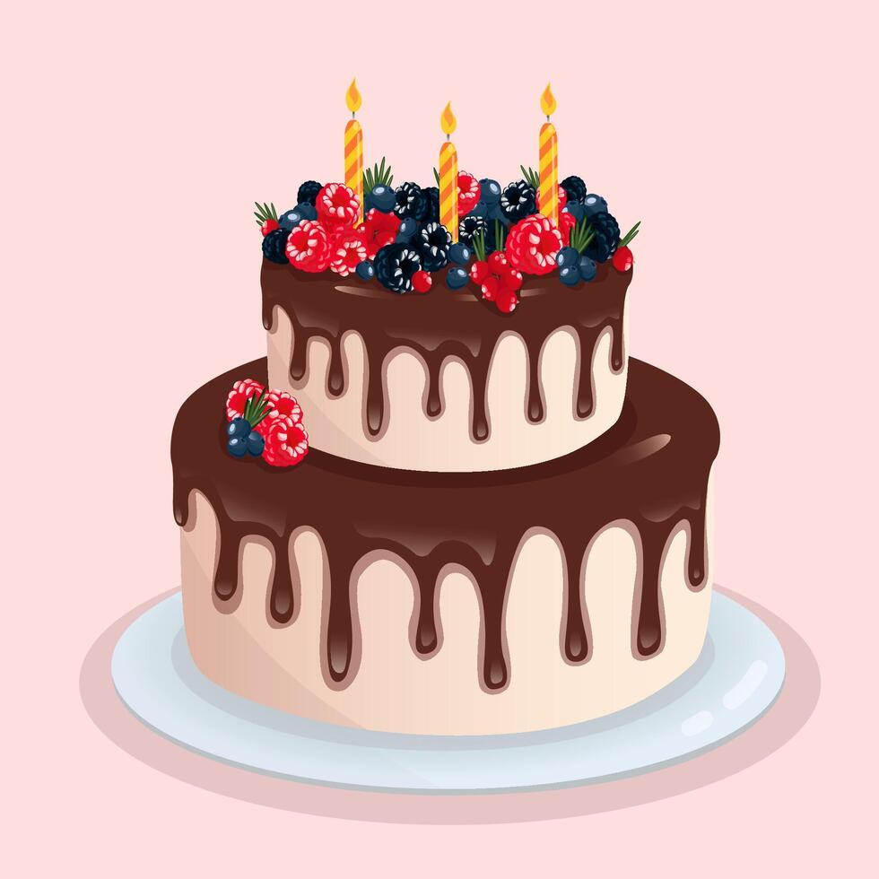 Birthday cake with candles vector
