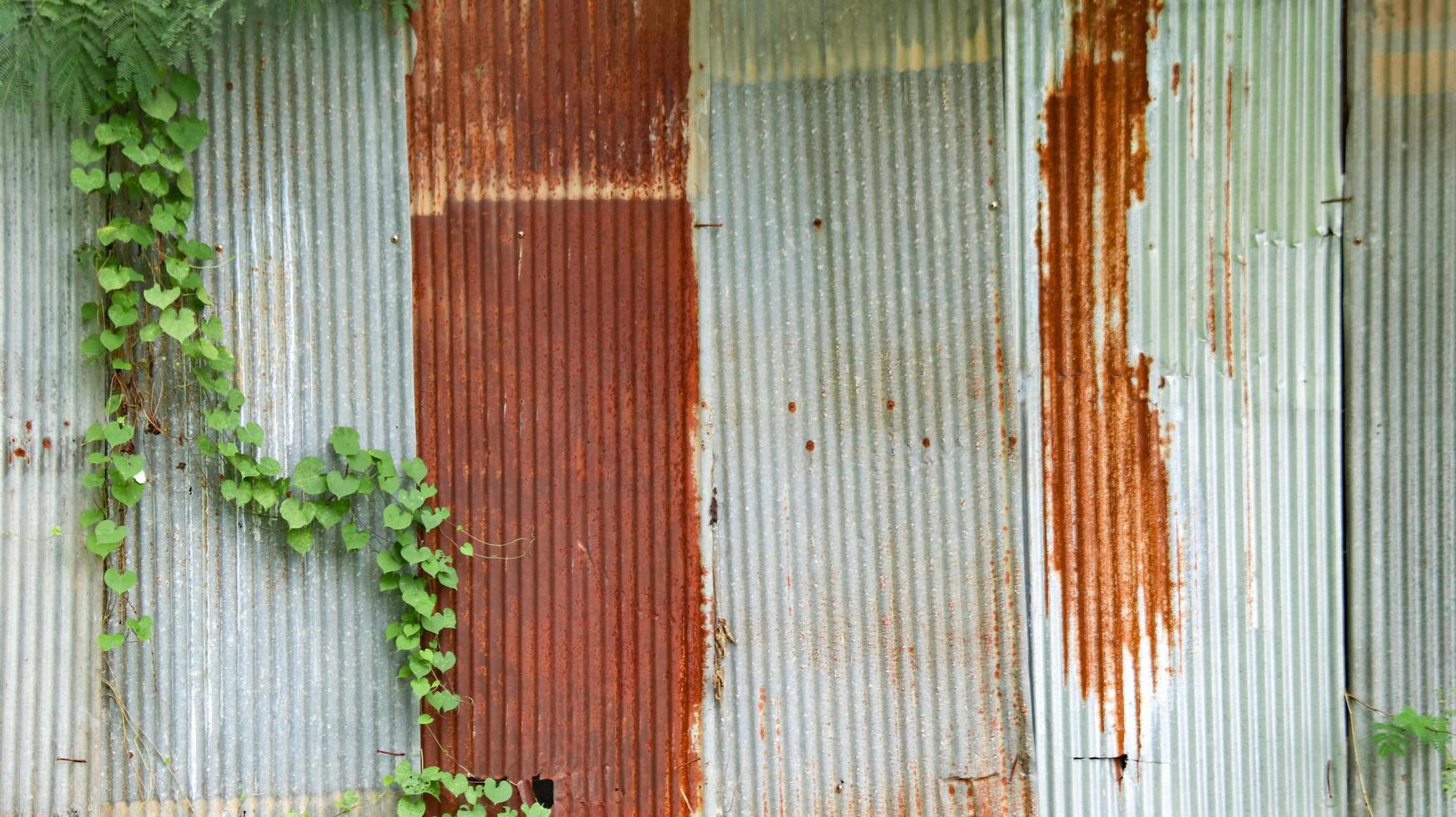 An image of corrugated zinc with rust patches, displaying the textured surface and weathered appearance. photo