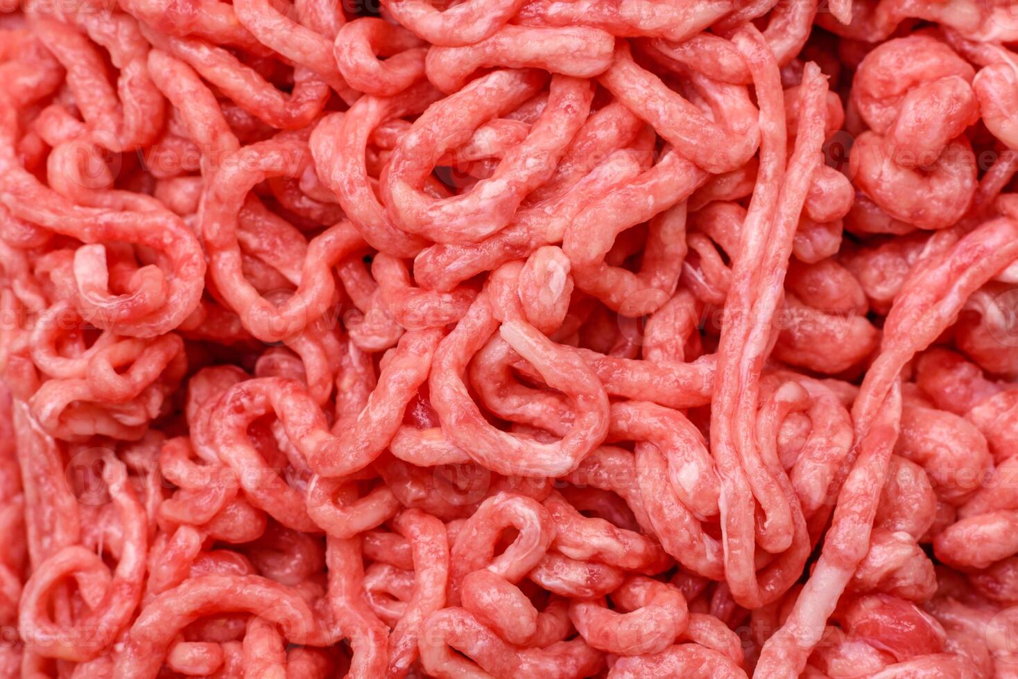Fresh raw ground beef with salt and spices photo