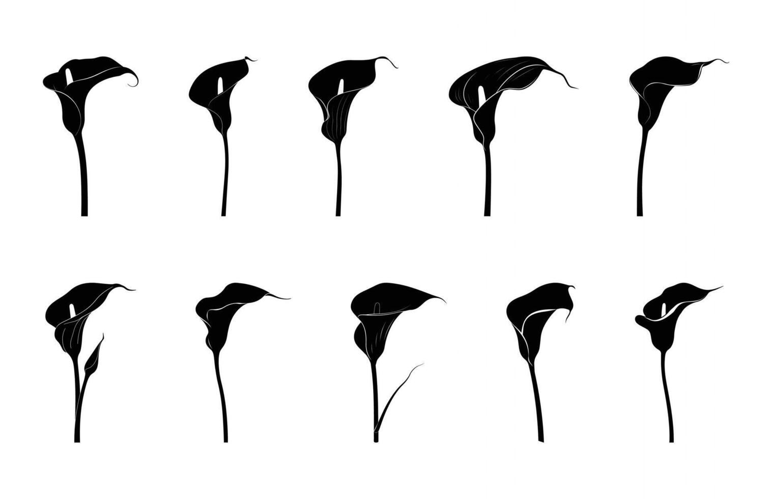 Calla Lily Silhouette Bundle vector