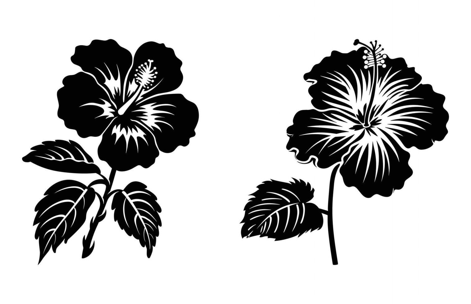 Hibiscus Flower Silhouette isolated on a white background vector