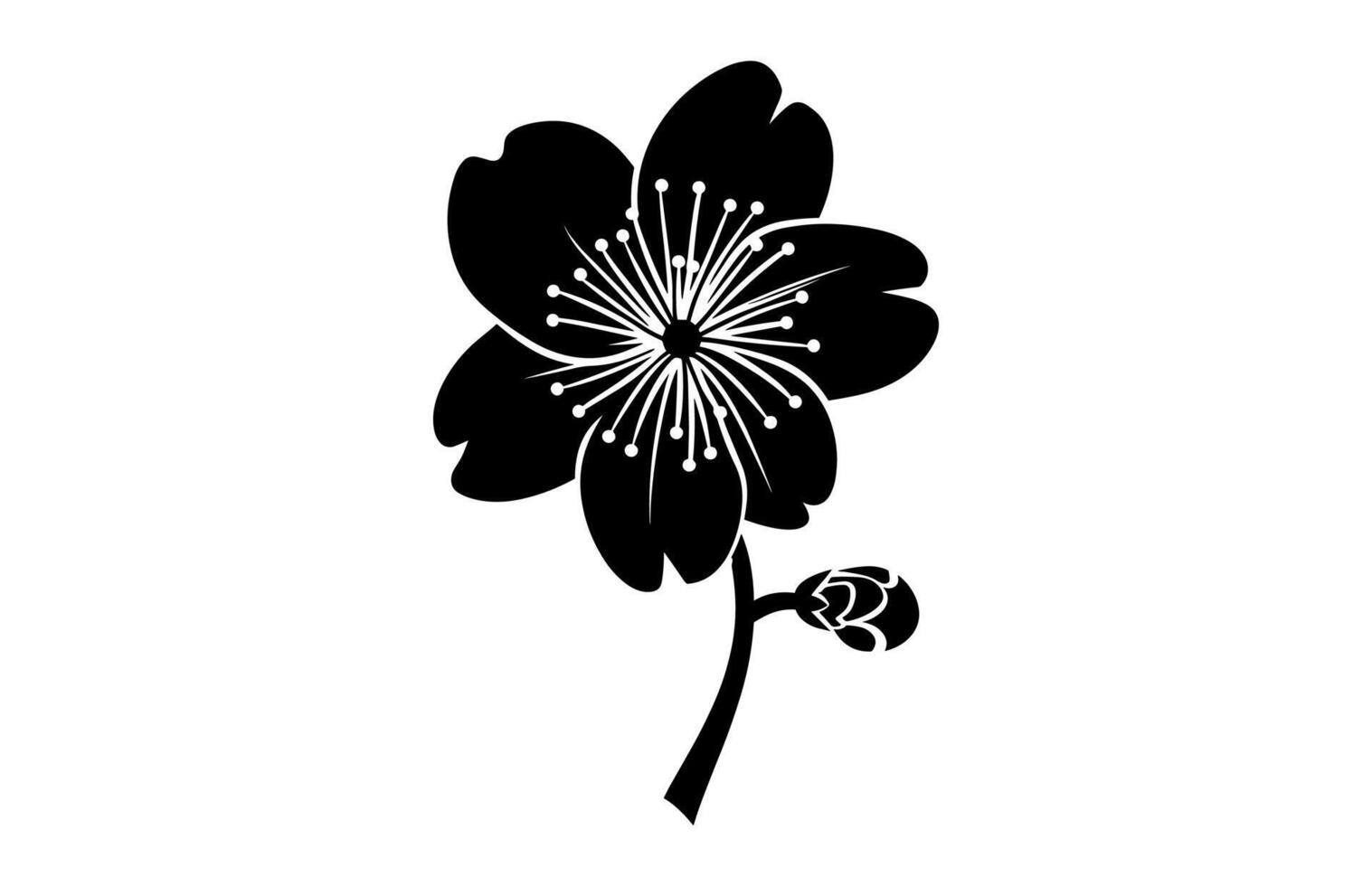 Cherry Blossom Black Silhouette vector