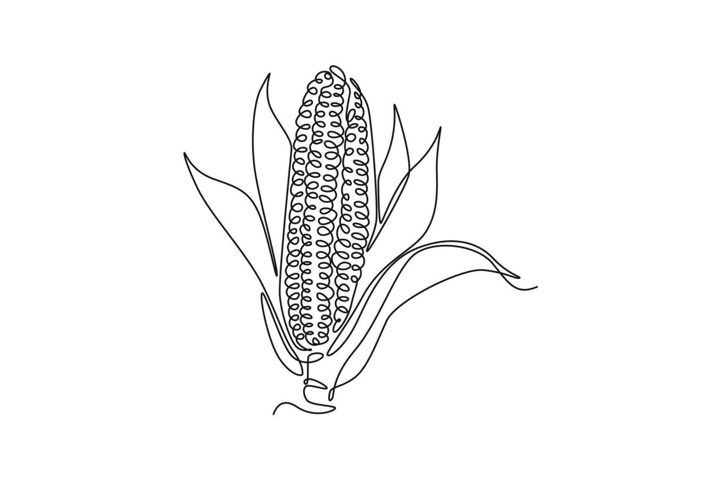 Continuous one line drawing of whole peeled healthy organic corn crop for farm or cooking logo identity. Fresh maize concept starchy vegetable icon. Single line draw design graphic illustration vector