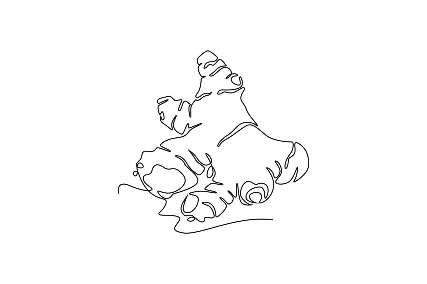 Single one line drawing of whole healthy organic ginger for farm logo identity. Fresh flowering plant rhizome concept herbaceous perennial icon. Continuous line draw design graphic illustration vector