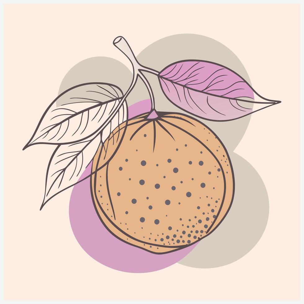 Vibrant Citrus Fruit Illustrations for Fresh and Zesty Designs vector