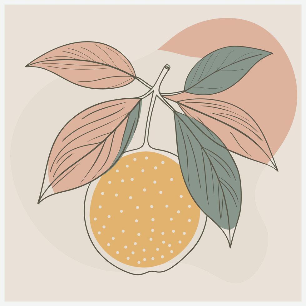 Vibrant Citrus Fruit Illustrations for Fresh and Zesty Designs vector