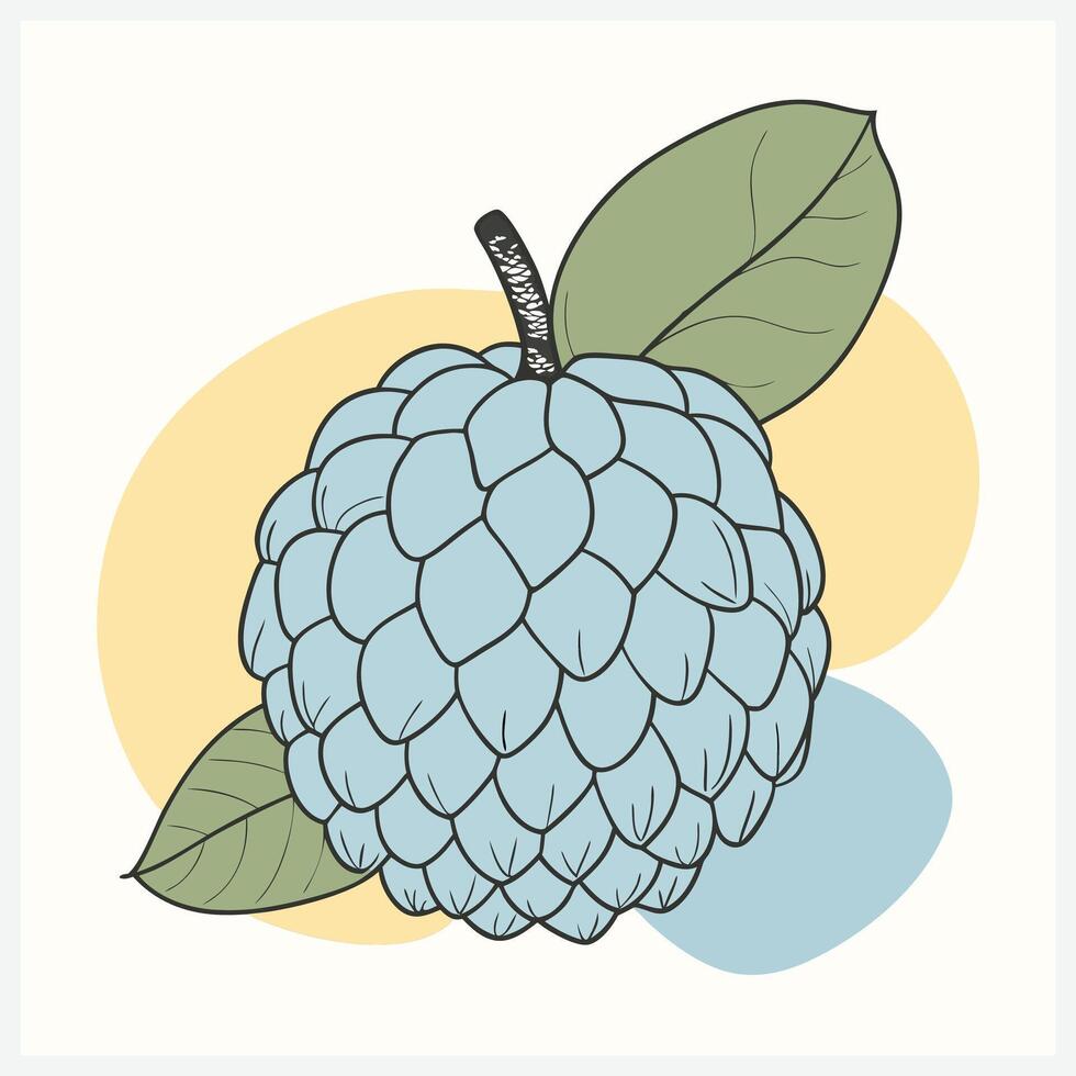 Custard Apple Fruit Illustration High Quality Digital Art of Custard Apple for Design and Print vector